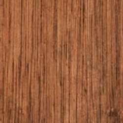 Eucalipto Aceitado Butzke Eucalipto Aceitado Butzke