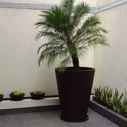 Maceta de fibra de vidrio Vaso redondo con palma sica